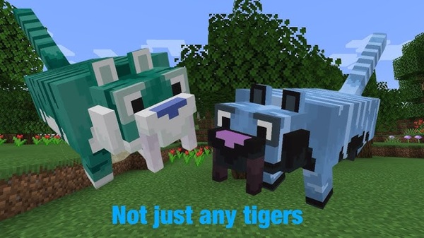 Enchanted Felines Addon mcpe
