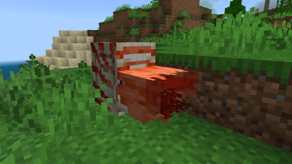 Nautilus Concept Addon mcpe