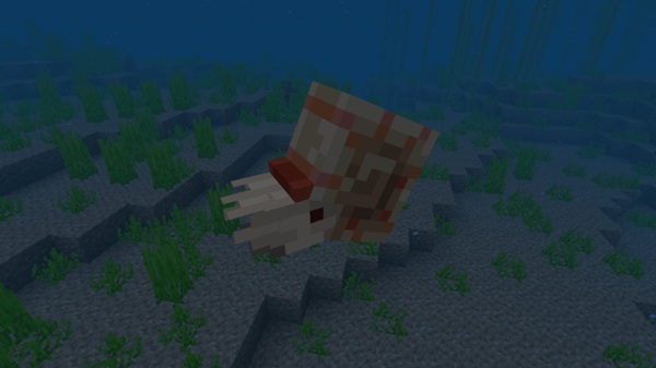 Nautilus Concept Addon mcpe bedrock