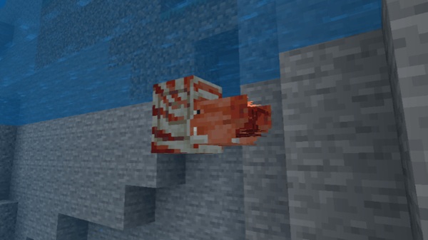 Nautilus Concept Addon mcpe download