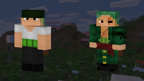 One Piece Skin Addon mcpe