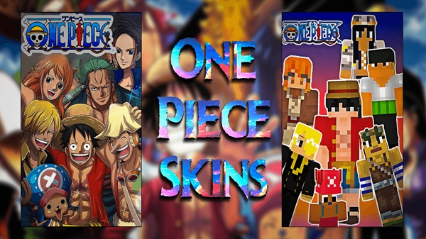 One Piece Skin