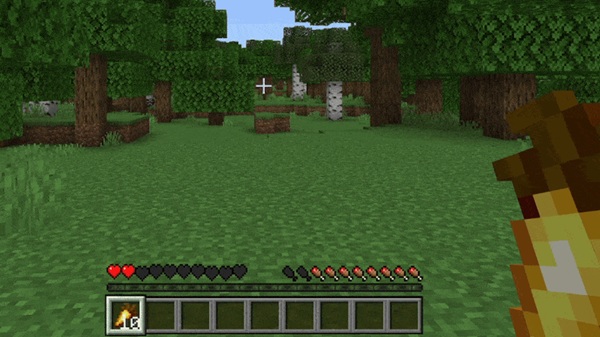 True Java Saturation Addon minecraft pe
