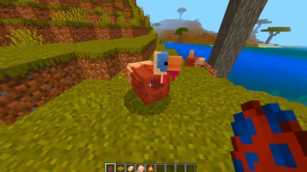 Turkey Addon mcpe bedrock