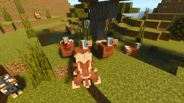 Turkey Addon minecraft pe