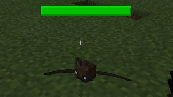 Damage Indicator Addon minecraft pe