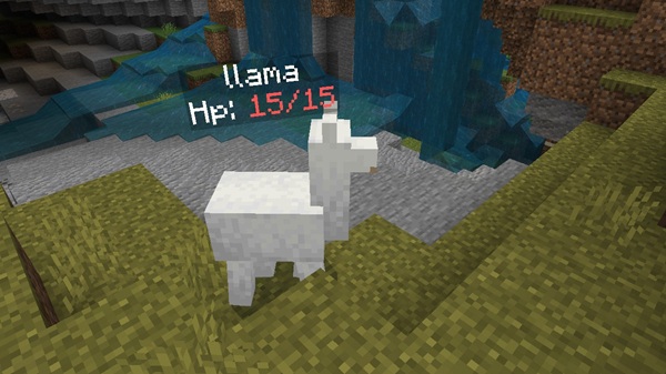 Entity Tag Addon mcpe bedrock