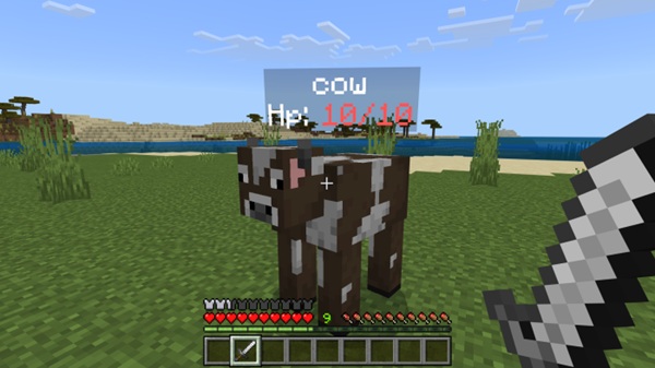 Entity Tag Addon minecraft