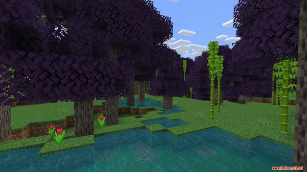 Expansive Biomes Addon mcpe download