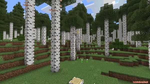 Expansive Biomes Addon minecraft pe