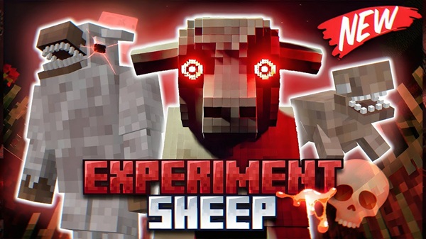 Experiment Sheep