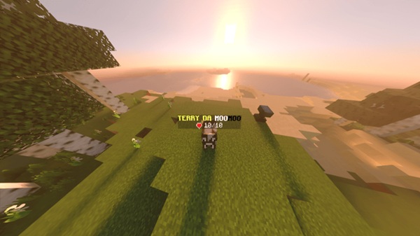 Health Display Plus Addon mcpe bedrock