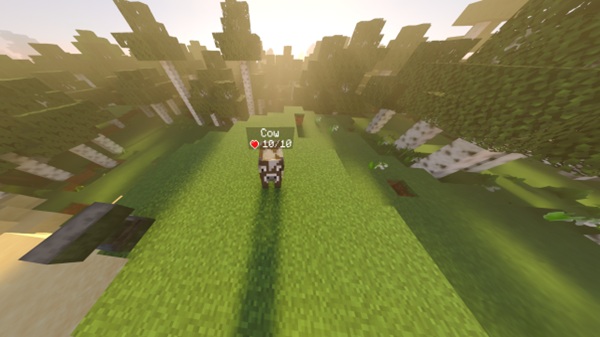 Health Display Plus Addon minecraft