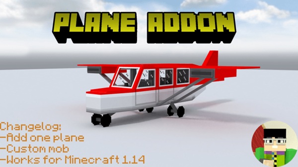 RMPlaysMCYT’s Plane